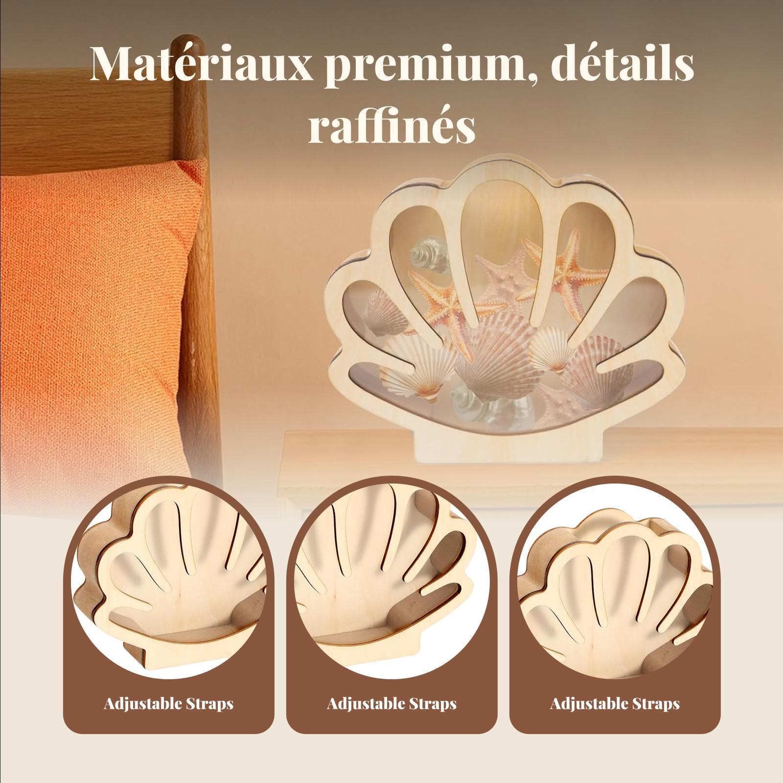Wooden Shell Display Box Colle - Collectors Coins Jewelry & Watches Of Smithtown Reviews review and price
